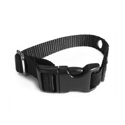 Cat replacement collar strap   Image